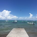 ChRiS___LoYaL - @chris___loyal - Instagram