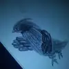 Chris Luce - @chris.luce2 - TikTok