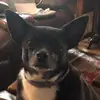 Chris Luce - @chris.luce3 - TikTok