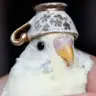 Chris Lundberg841 - @chrislundberg841 - TikTok