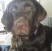 Kris Lundquist - Facebook