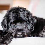 chris lundstrom - @swedely25 - Instagram