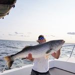 Chris Luzzi - @sundaygravycharters - Instagram