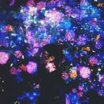 Chris Lyu - Facebook