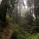 Chris Maag - @maager55 - Instagram
