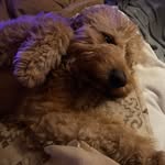 Chris S. Mabe - @chris_mabe71 - Instagram