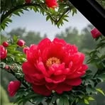 Chris Macaraeg Casil - Facebook