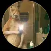Christopher Machuca - @christopher.machu1 - TikTok