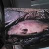 chris_macintyre - @chris_macintyree - TikTok