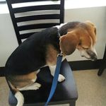 Chris MacLean - @macleancn - Instagram