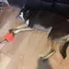 Chris Macrae - @chris.macrae2 - TikTok