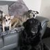 Christina MacRitchie - Facebook
