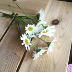 Chris Maddison - @chris_maddison_ - Instagram