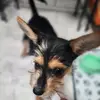 Chris Madrid - @chrismadrid - TikTok