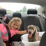 Chris Maggi - @chris.maggi.5 - Instagram