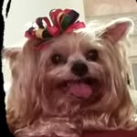 CHRISTELL - @chrismagness41 - Instagram