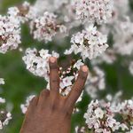 Chris Main - @your_phada - Instagram