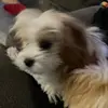 Christmas 🎄🎄 - @chris.main4 - TikTok
