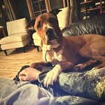Christopher - @chris_main15 - Instagram