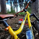 Chris Makin - @xenon_chris - Instagram