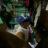 Chris malara - @chrisyamson - TikTok