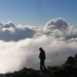 Chris Malcolm - @cmalc111 - Instagram