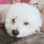 Jake - @chrismalczewski0 - Instagram