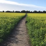 Chris - @chris_maleck05 - Instagram