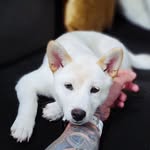 @chrismalec - Instagram