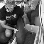 Dr. Chris Malinowski - @conservation.chris - Instagram
