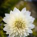 Chris Mall - Facebook