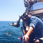 Chris Mallery - @chrismallery - Instagram