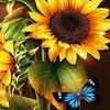Chrissy Malstrom - @chrissy.malstrom - TikTok