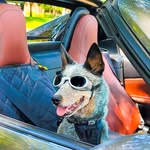 Chris Malysiak aka Chowder - @wheel_and_lens - Instagram