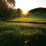 Chris Malz - @chris.malz.100 - Instagram