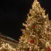 💚🎄Malz🎄❤️ - @malzchristmas - TikTok