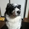Chris Manca - @chrismanca17 - TikTok