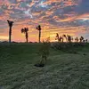 chrismancano - @chrismancano - TikTok
