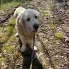 SOS ordinateur - @chris.mandel4 - TikTok