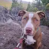 Chris Manes - @chris.manes4 - TikTok
