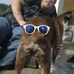 Chris Maness - Facebook