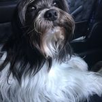 Chris Maney - @chrismaney58 - Instagram