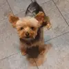 Chrissy Mangrum - @chrissy.mangrum - TikTok