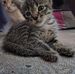 Cris Maenard Lagunday - Facebook