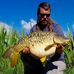Chris Manifold - Facebook