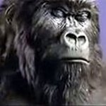 Chris Mankelow - @chrismankelow - Instagram
