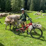 Christian M. - @chris.manke81 - Instagram