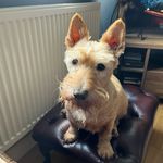 Chris Manners - @manners6184 - Instagram