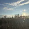 Chris_Mannino - @chris.mannino - TikTok