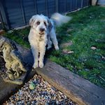 Chris Mansbridge - @chris.mansbridge59 - Instagram